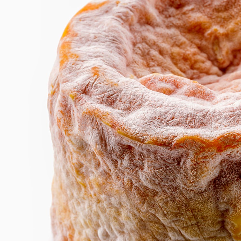LANGRES2