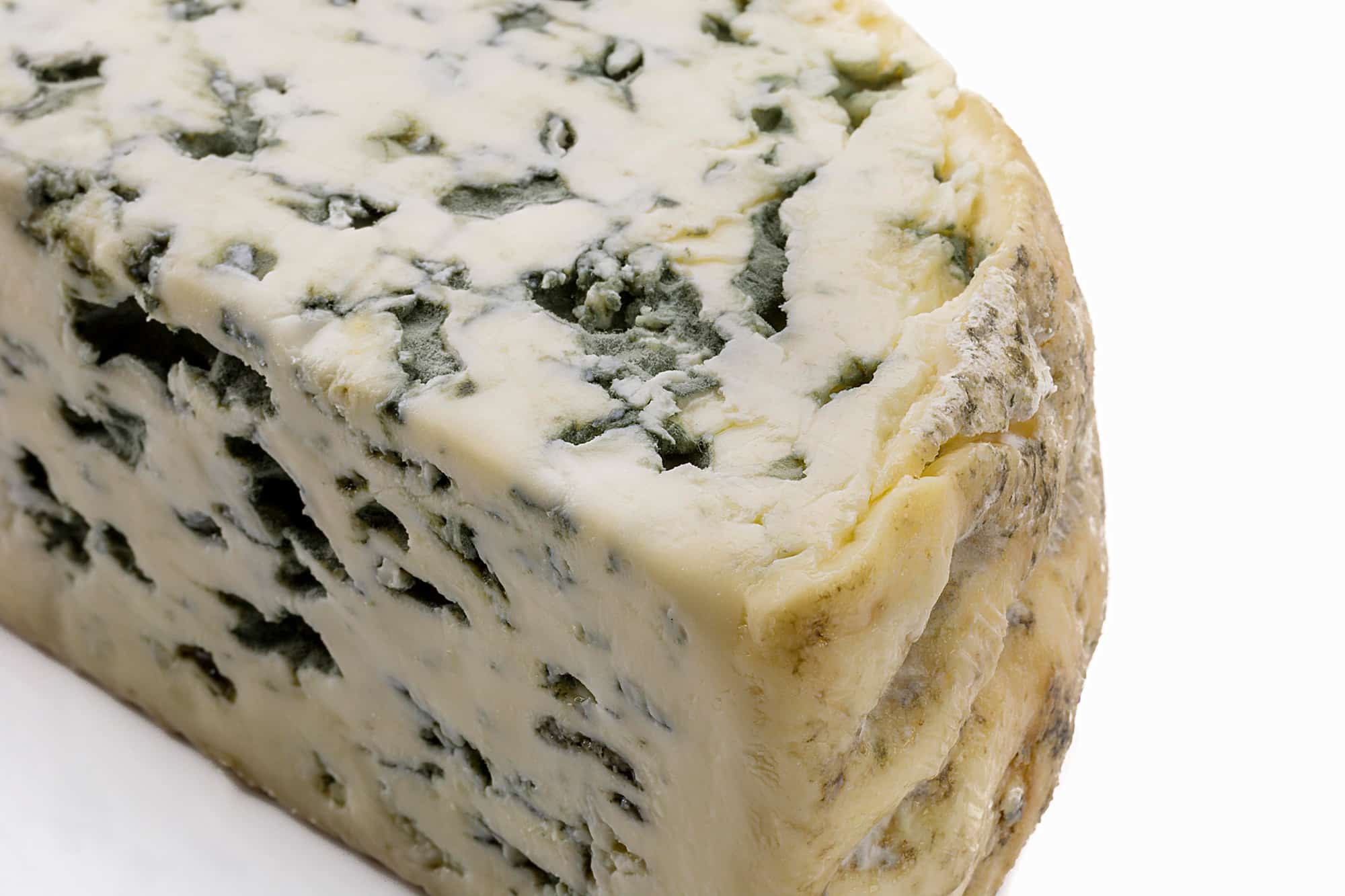fourme-dambert-azules-vaca-cruda-animal-min