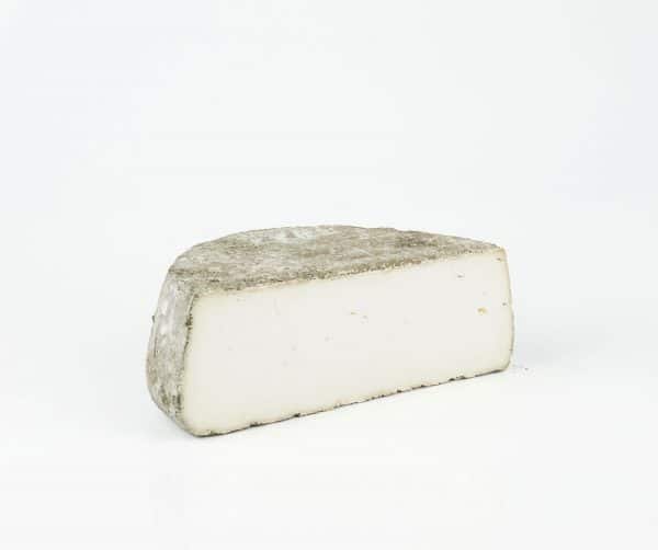 zarcillero