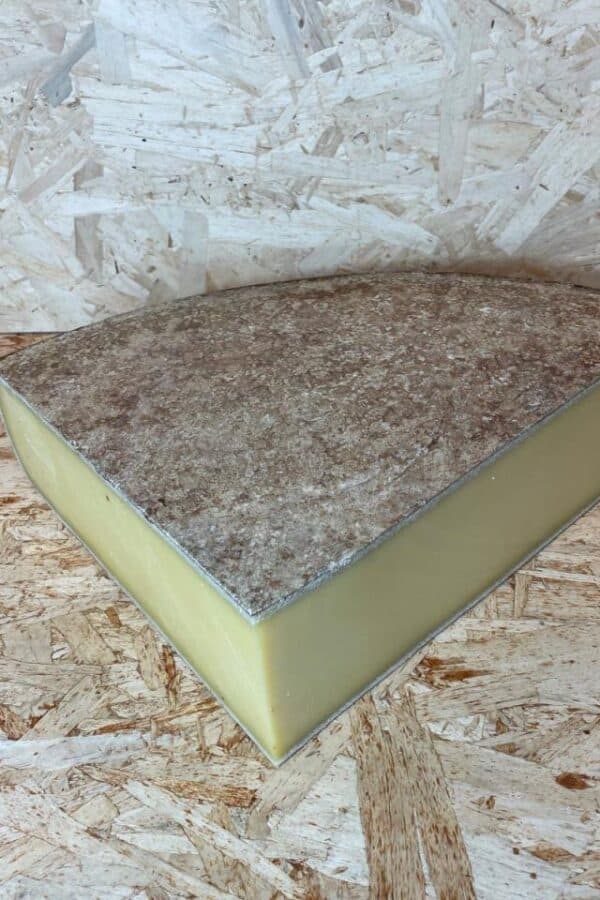 COMTE AOP ESTIVE 20-28 M