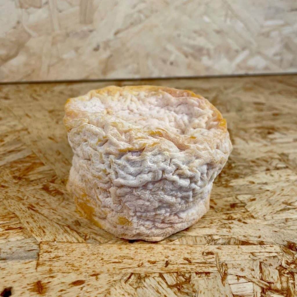 LANGRES DOP fermier