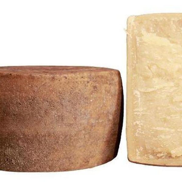 PECORINO TOSCANO BIO