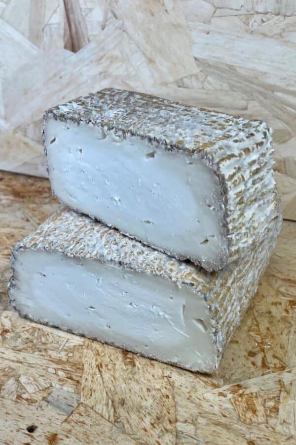 ZARCILLERO